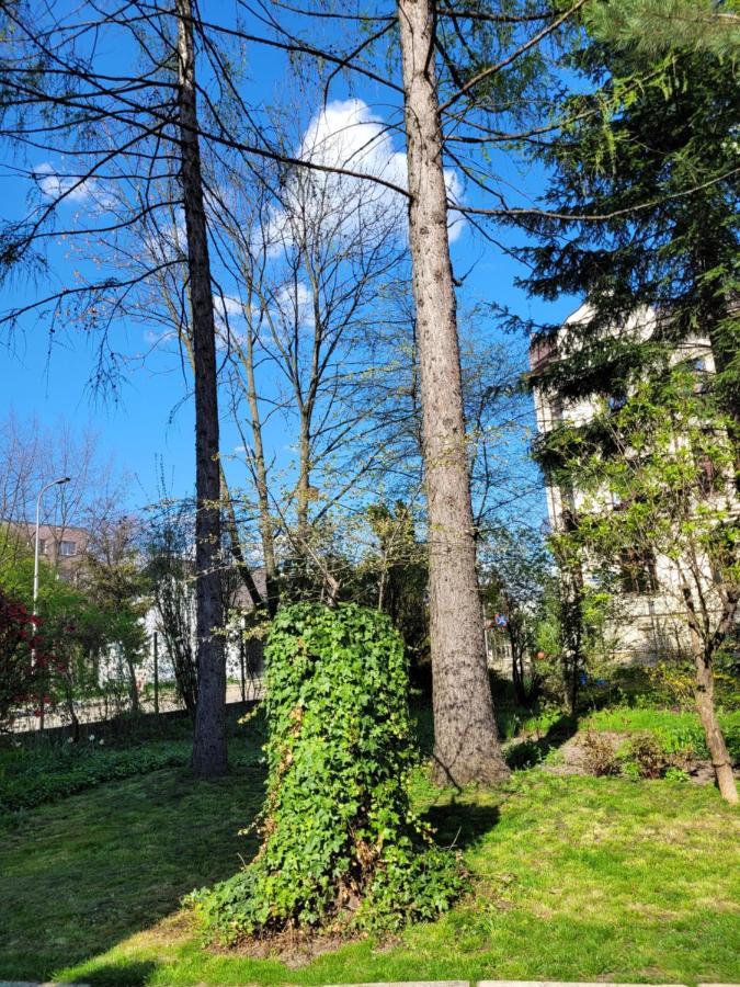 Cichy Apartament W Centrum Nowy Sącz エクステリア 写真